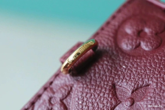 ON POUCH STRAP LOUIS EASY VUITTON 0302